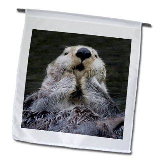 3dRose fl_45621_1 Sea Otter Close Up with Its Paws Out of The Water To Keep Them Warmer Ephedra Ultras Garden Flag, 12 by 18 Inch : Outdoor Flags : Patio, Lawn & Garden