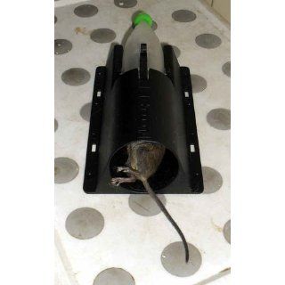 Nooski Mouse Trap, Reusable Ring Trap, Safer, Cleaner, Easier : Rodent Traps : Patio, Lawn & Garden