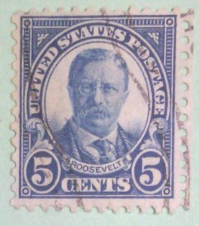Single 1922 5 Cents US Postage Stamp, S#557, Theodore Roosevelt 