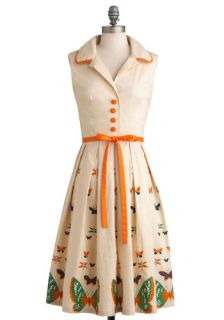 Tatyana/Bettie Page My Bread and Butterfly Dress  Mod Retro Vintage Dresses