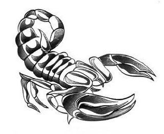 BT0016 Killer Scorpion Tattoo, Sticks On Almost Any Surface, Temporary Tattoo : Beauty