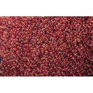 True Modern Lil Wooly Red Rug F44 1000 Lil wooly rug Red Rug Size: 5 x 76