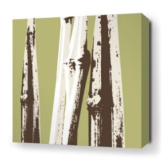 Inhabit Botanicals Bamboo Stretched Graphic Art on Canvas in Grass BAMGR Size