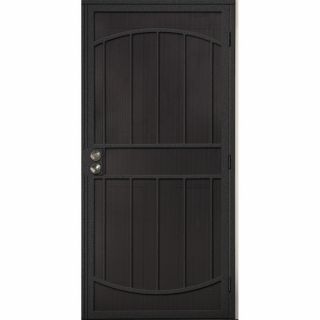 Gatehouse Gibraltar Silver Steel Security Door (Common: 32 in x 81 in; Actual: 35 in x 81 in)