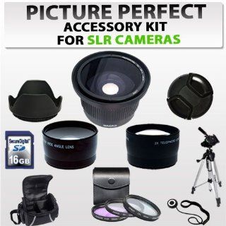 Picture Perfect Lens Accessory Kit for Canon Vixia HF R200, HF R20, HF R21 Dslr Camera Including .34x Macro Fisheye Lens, Wide Angle Lens, 2x Telephoto Lens, 3pcs Filter Kit, Hard Lens Hood, 16bg memory card & Much More!! : Digital Camera Accessory Kit