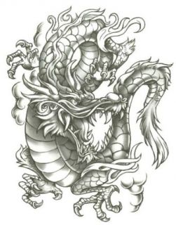 Grey Dragon Large Temporary Body Art Tattoos 8.5" x 7": Apparel Accessories: Clothing