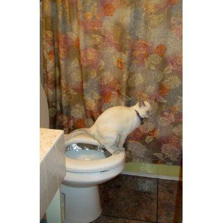 The Toilet Trained Cat: Aston Lau: 9781435740914: Books