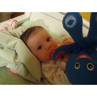 Baby Einstein Octoplush : Plush Toys : Baby