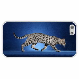 Custom Made Apple Iphone 5/5S Animal Cat Of Fashion Present White Case Cover For Everyone: Cell Phones & Accessories