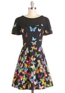 Flutter to the Fete Dress  Mod Retro Vintage Dresses
