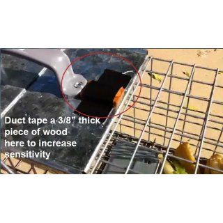 Havahart 1083 Easy Set One Door Cage Trap for Squirrels and Small Rabbits : Home Pest Control Traps : Patio, Lawn & Garden