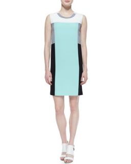 Womens Sleeveless Colorblock Sheath Dress   DKNY   Julep/Blk/White (LARGE)