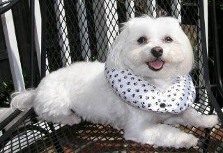 Puppy Bumper   Keep Your Dog on the Safe Side of the Fence  Black & White Paw  up to 10" : Pet Collars : Pet Supplies