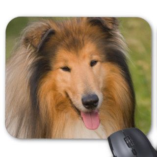 Beautiful Collie dog portrait mousepad, gift idea