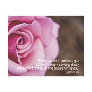 Pink Rose on Canvas Scripture James 1:17 10" x 8" Gallery Wrap Canvas
