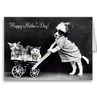 Vingage Mothers day funny cute dog & kitten photo Greeting Card