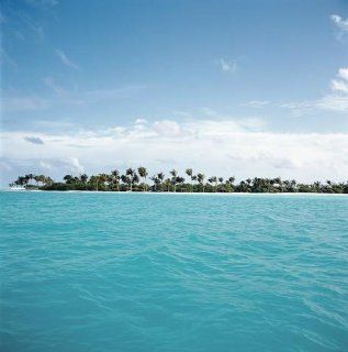 Shallow Water near Tropical Island   36"H x 36"W   Peel and Stick Wall Decal by Wallmonkeys   Wall Decor Stickers