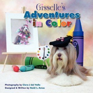 Gisselle's Adventures in Color: Heidi L. Ames, Clara J. del Valle: 9781608444366:  Children's Books