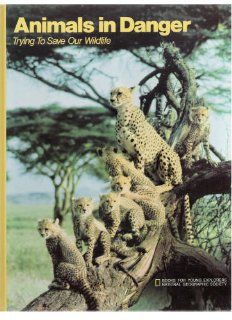Animals in Danger Trying to Save Our Wildlife National Geographic Staff 9789997433305 Books