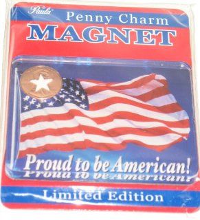 Proud to Be American Limited Edition Acrylic American Flag Penny Charm Magnet: Kitchen & Dining