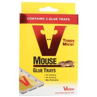Woodstream Corporation M180 Mouse Traps (2  Pack) (Discontinued by Manufacturer) : Rodent Traps : Patio, Lawn & Garden