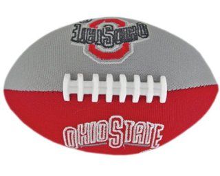 Champion Treasures NCAA Ohio State Buckeyes Football Smasher  Sports Related Collectible Footballs  Sports & Outdoors