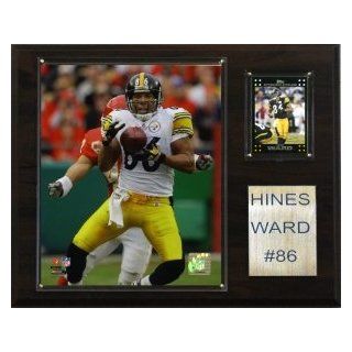 Pittsburgh Steelers Hines Ward 12"x15" Player Plaque : Sports Related Plaques : Sports & Outdoors