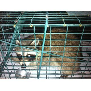 Pet Trex Green Live Animal or Pet Trap Humane Catch & Release Trap : Rodent Traps : Patio, Lawn & Garden