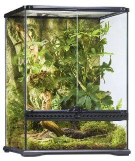 Exo Terra PT2607 Glas Terrarium 45 x 45 x 60 cm: Haustier