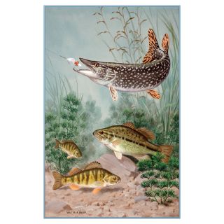 Concord National Geographic Photographic Rugs   Fish and Hook   Area Rugs