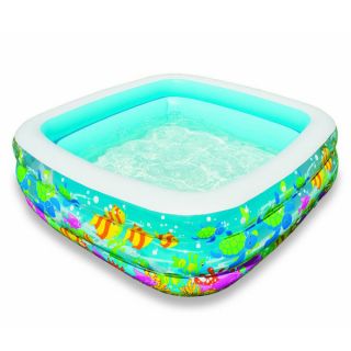 Clearview Aquarium Pool   15374973   Shopping   The Best