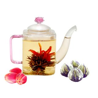 Romeo 0.53 qt. Fab Flowering Teapot by Tea Beyond