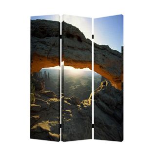 72 X 48 Desert 3 Panel Room Divider by Screen Gems