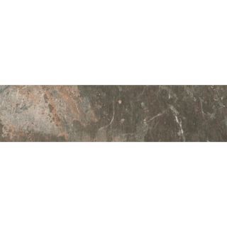 FLOORS 2000 Afrika Cape Town Porcelain Bullnose Tile (Common: 3 in x 18 in; Actual: 3 in x 17.91 in)