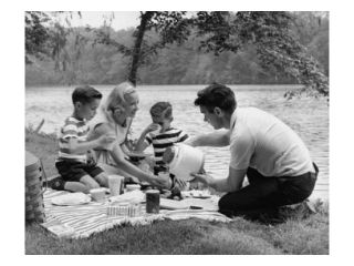 Family with two sons having picnic at lakeshore Poster Print (18 x 24)