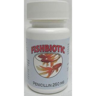 Durvet Penicillin Capsule Fish Antibiotic   250 Miligram