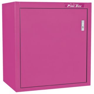 The Original Pink Box 26.61 Wide Wall Mount Storage Cabinet