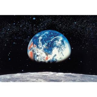 Komar 106 in. x 153 in. Earth/Moon Wall Mural 8 019