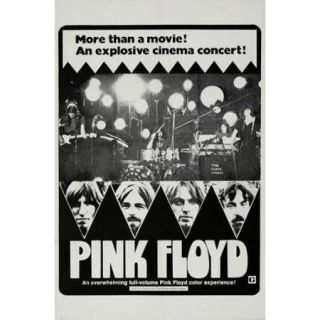 Echoes Pink Floyd Movie Poster (11 x 17)