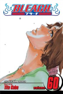 Bleach 60: Everything but the Rain (Paperback)   15508538  