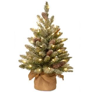 National Tree Company 2 ft. Snowy Concolor Fir Tree with Battery