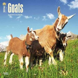 Goats 2016 Calendar