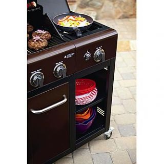 Need a gas grill with an extra storage, then the Kenmore 4 Burner