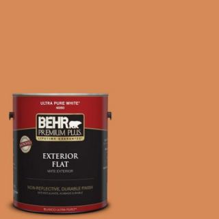 BEHR Premium Plus 1 gal. #PMD 80 Spiced Pumpkin Flat Exterior Paint 430001