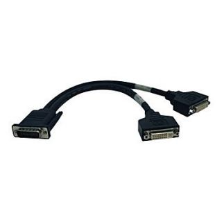Tripp Lite P576 001 12 DMS 59 to 2 DVI I Splitter Y Cable, Black