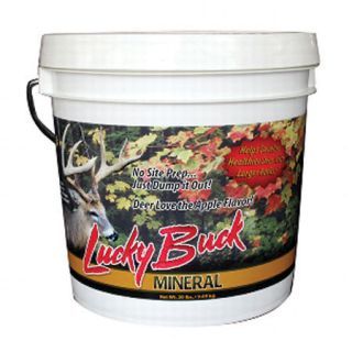 Lucky Buck Mineral 427850