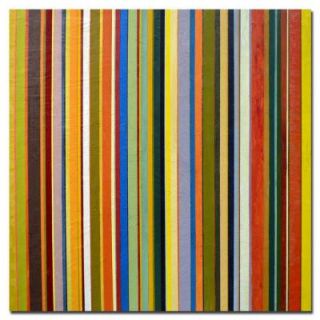 Trademark Fine Art 18 in. x 18 in. Comfortable Stripes Canvas Art MC051 C1818GG