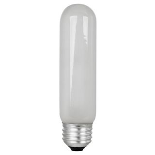Frosted 120 Volt Incandescent Light Bulb by FeitElectric