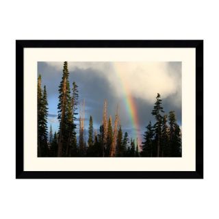 Amanti Art 38.62 in W x 28.62 in H Spiritual and Religious, Nature Framed Art