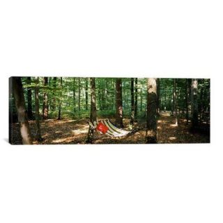 iCanvas Panoramic Hammock in a Forest, Baden Wurttemberg, Germany Photographic Print on Canvas